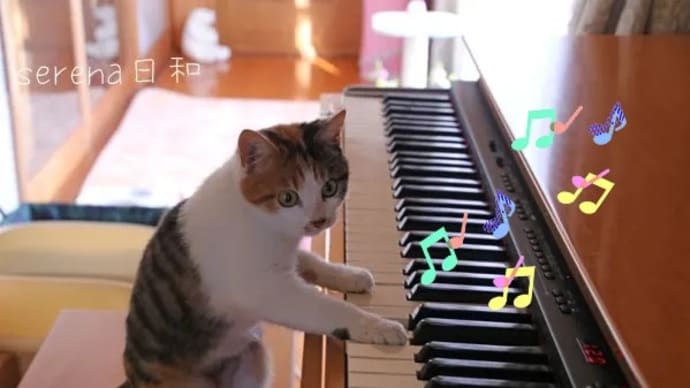シュークリームの日にゃの。