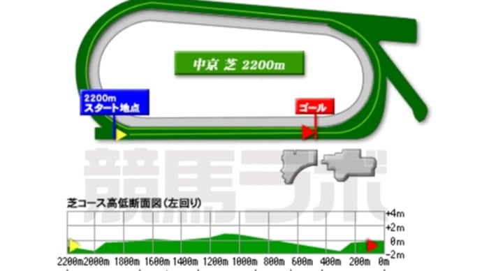 野路菊S 検討