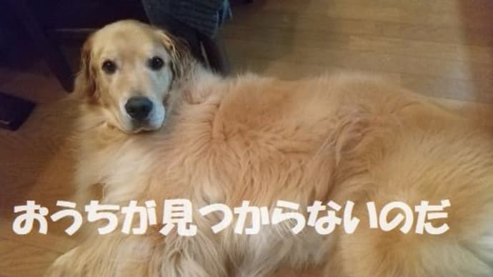 蓼科暮らし86　仮住まいが決まらない。。。