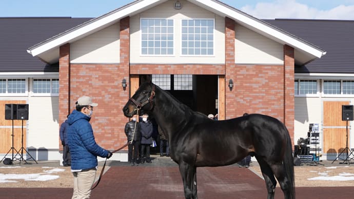 【優駿スタリオンステーション種牡馬展示会2023】が開催(新種牡馬チュウワウィザードなど27頭)