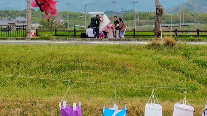 もうすぐ参議院選挙