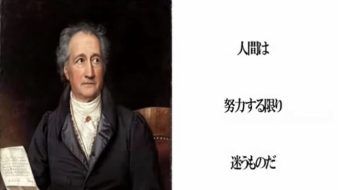 人間は努力する限り迷うものだ❗️