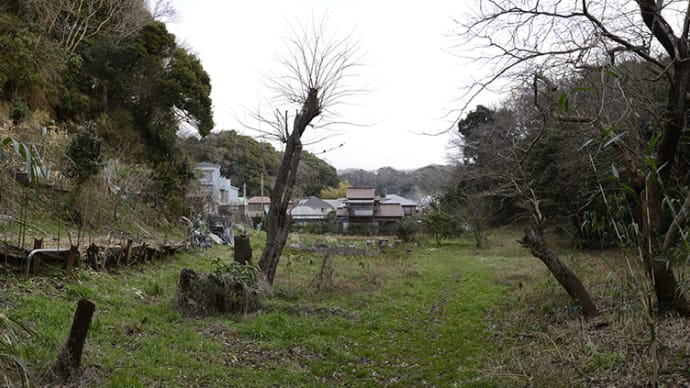 山の根辺り