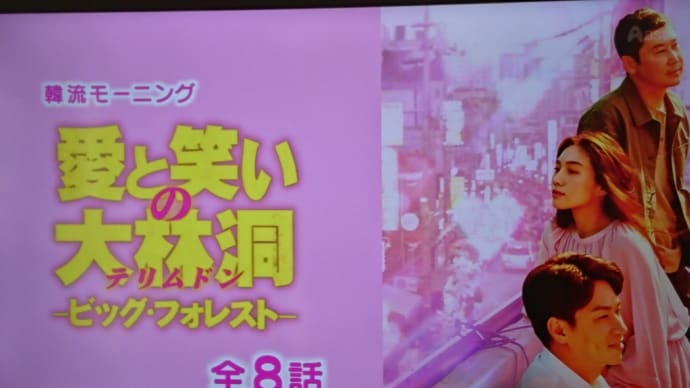 愛と笑いの大林洞(テリムドン)～ビッグ・フォレスト