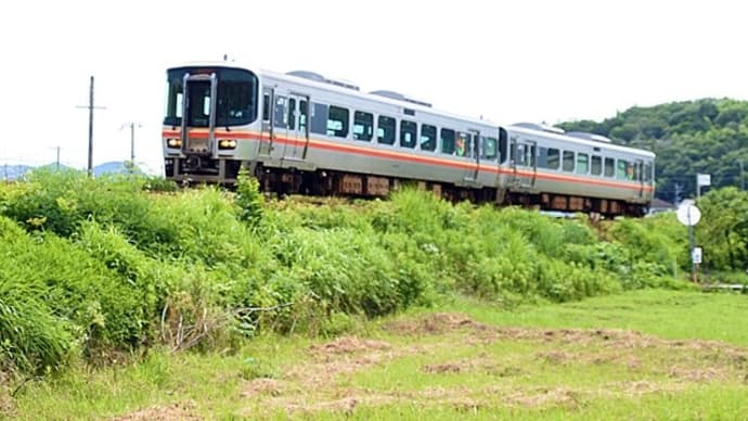 キハ122系・127系、東觜崎付近-姫新線を撮る【1】