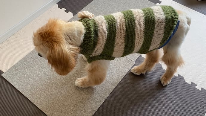 セーター編み上がりました