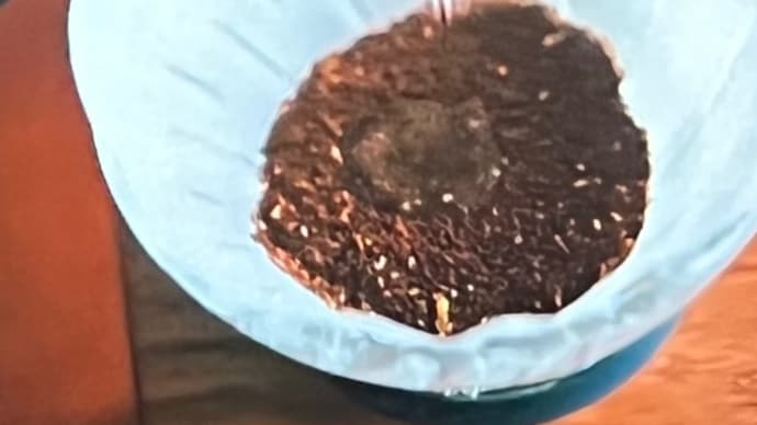 coffee対 紅茶