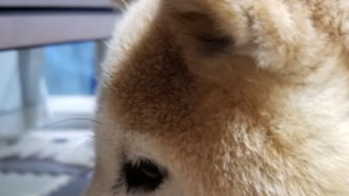 クリンへの想いは尽きなくて・・・108
