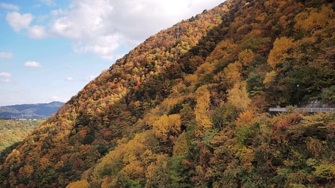 ★大町ダム（龍神湖）周辺の紅葉🍁②　2023