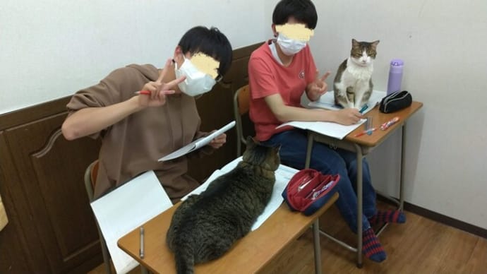 猫といっしょにテスト対策