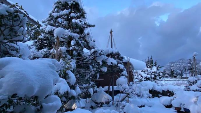 まとまった雪が・・・・