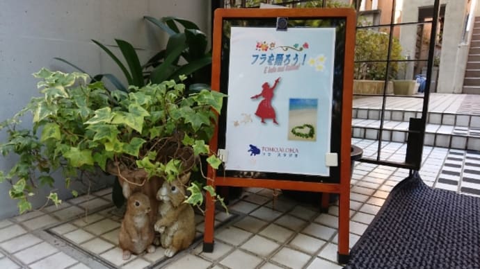 フラレッスン再開♪ご心配ありがとうございました