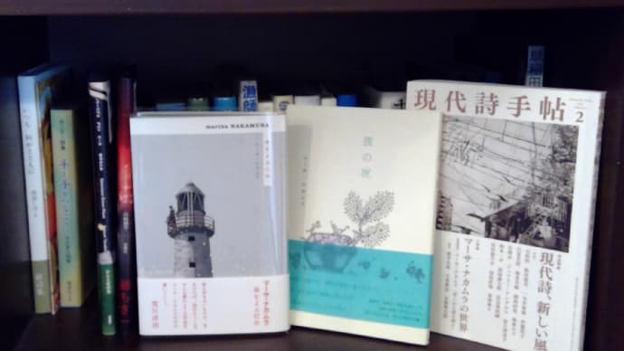 現代詩手帖 2021.2月号 小特集 マーサ・ナカムラの世界