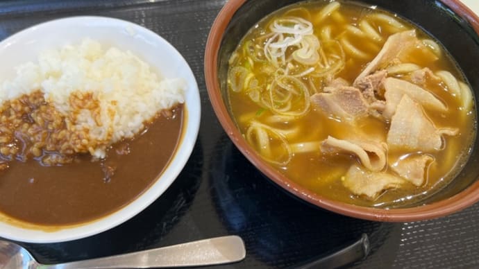 横横道路 横須賀PA 上り線 豚ばらカレーうどん