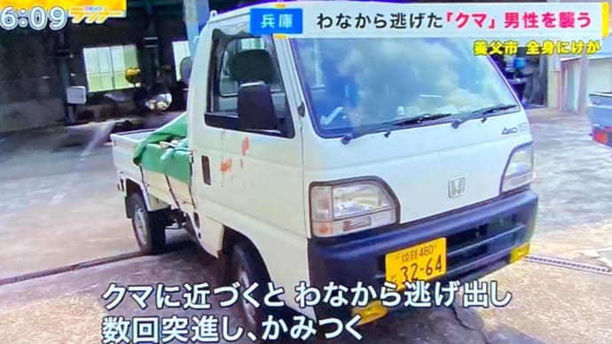 兵庫で罠から逃げた熊が猟師に噛み付く
