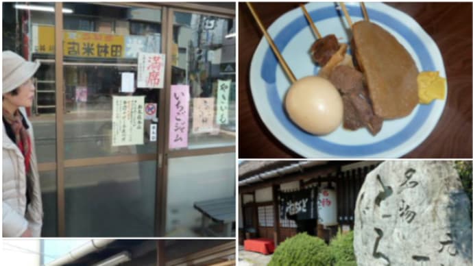 駿府城址で静岡おでん 鞠子宿・丁子屋 のとろろ汁 4世代現存トンネル宇津ノ谷峠 🍢