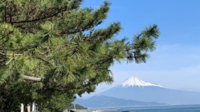 静岡紀行 三保の松原と富士山