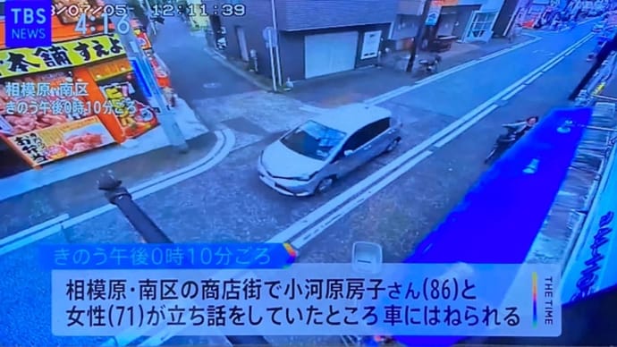 神奈川の商店街でクソ外道の馬鹿ジジイが乗用車で高齢女性を轢き逃げして⚫️害