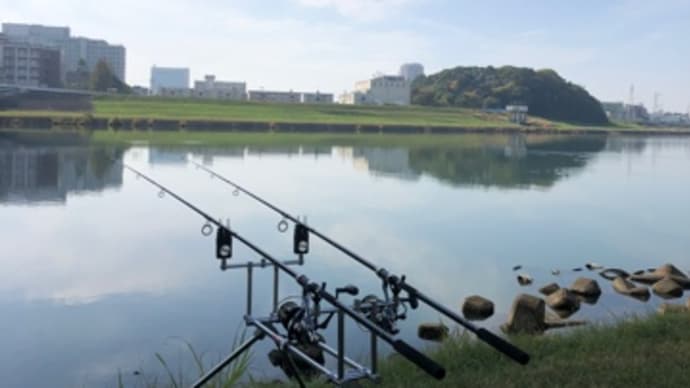 11月18日の鯉釣り