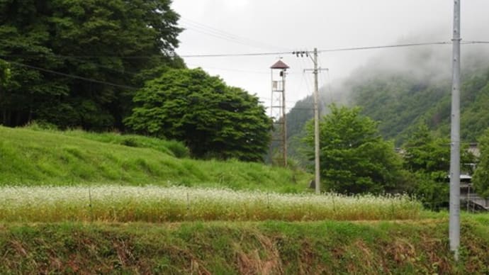 1294 筑北村東条の火の見櫓