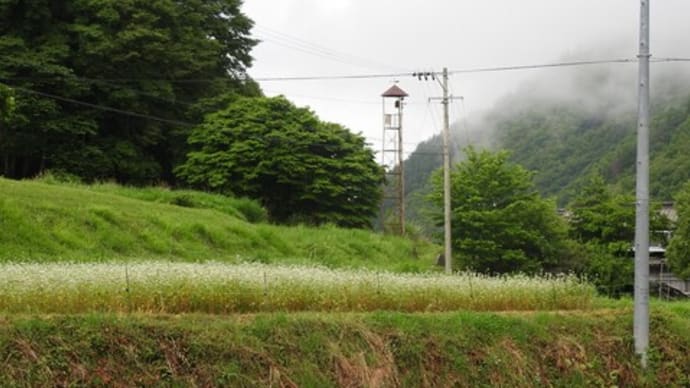 1294  筑北村東条の火の見櫓