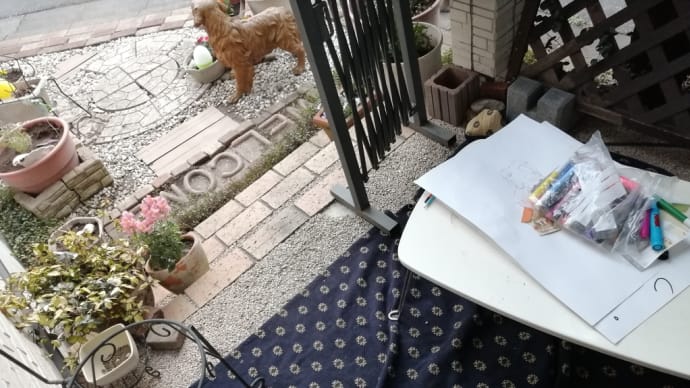 3月13日(日) 久しぶりに外玄関に賑わい❀