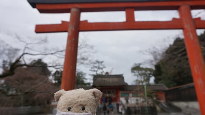 ミモロの初詣。「吉田神社」の全国の神様がいらっしゃる「大元宮」で、八百万の神様に参拝。