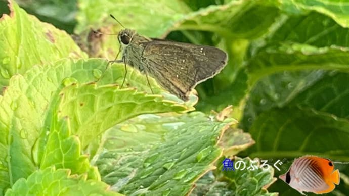 嵐が過ぎて