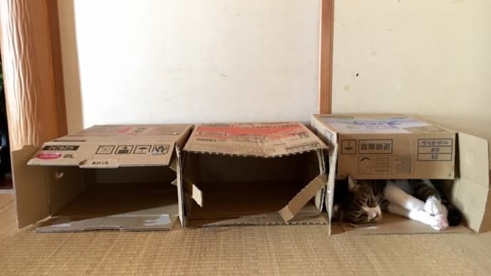 三軒長屋