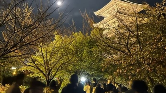 十三夜 東寺にて