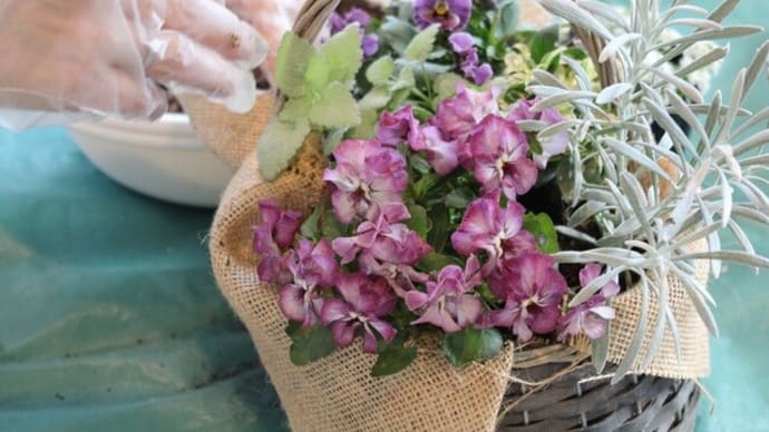 バスケットの寄せ植えレッスンより
