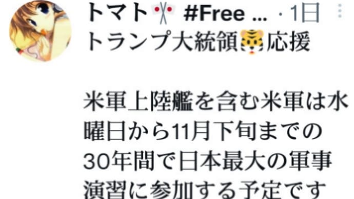 トランプ連邦軍!ディープステート大量殲滅へ!米軍上陸艦を含む米軍は9月15日から11月下旬まで【日本最大の軍事演習】に参加する予定!世界的軍事作戦!9月14日北極でのロシア艦隊演習!