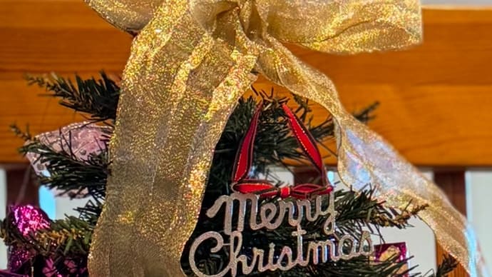 クリスマスになくては,ならないものとは?🎄