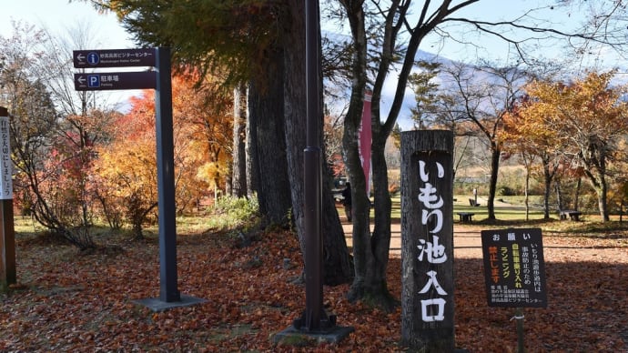 もみじ狩り 新潟県妙高山周辺 ぶらっと妙高山麓(3)いもり池