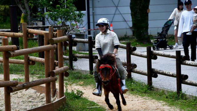 飼育員さん 乗馬が上手