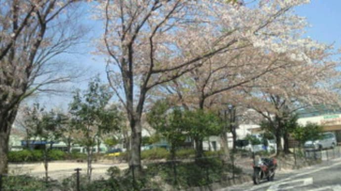 久しぶりに