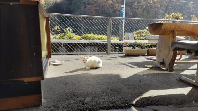 備後矢野駅