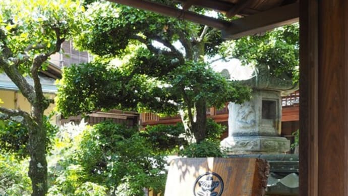 6月 京都