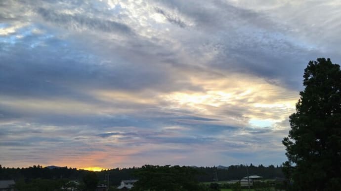 桔梗の空