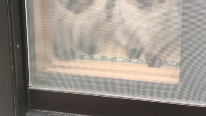 近所に