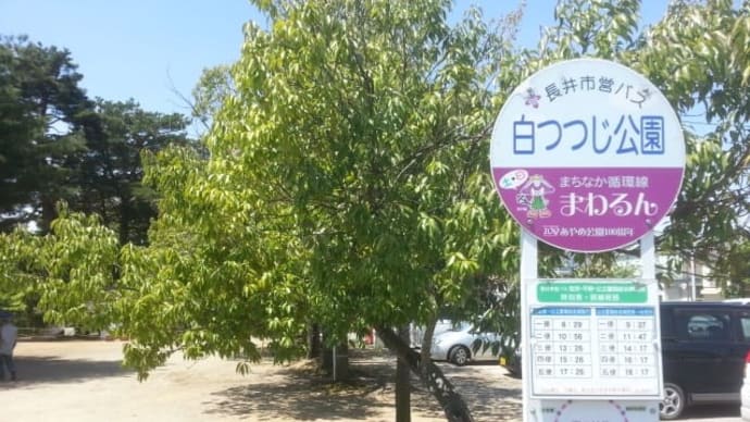 長井市の白つつじ公園で米屋のおにぎり・・
