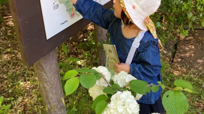 孫と,神戸市立森林植物園へ