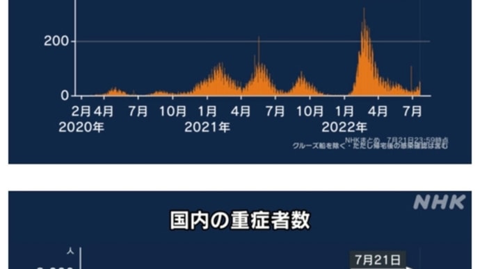 大阪で吉村洋文が新型コロナ中等症2以上じゃ無いと入院させないて言い出しています。兵庫京都も同様です。死人が増える。