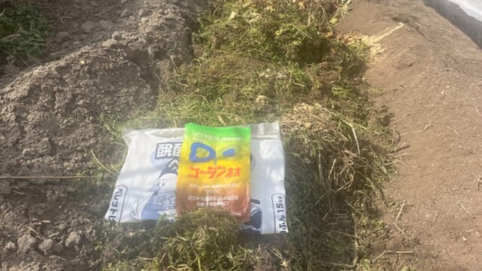 山積みの雑草にコーランネオ