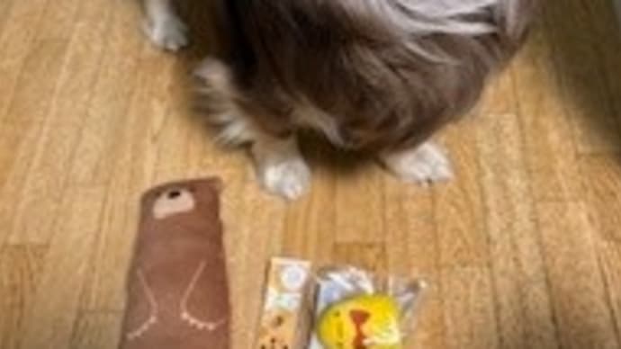 ルーモス 100均のおもちゃ