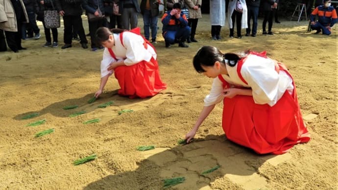 廣瀬神社・砂かけ祭(御田植祭) ④ ~早乙女