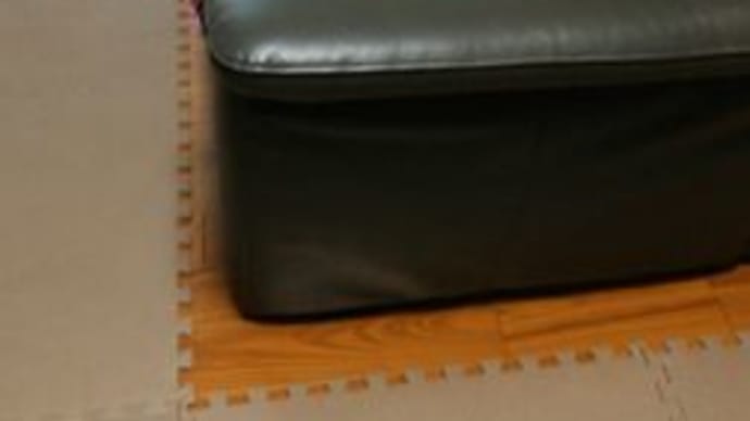 敷物を暖かくしたよ～