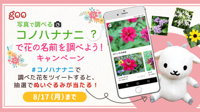 Twitterに「#コノハナナニ」をつけて投稿！「コノハナナニで花の名前を調べよう」キャンペーン🌸🐐