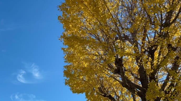 １２月