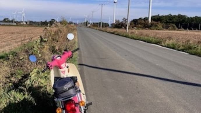 初めて見た中の島